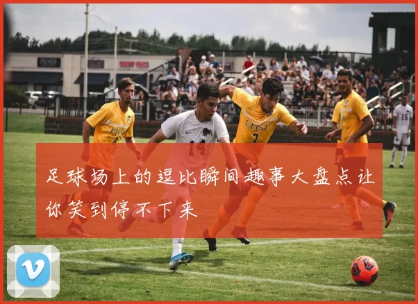 足球场上的逗比瞬间趣事大盘点让你笑到停不下来